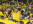 Australia National Team supporters Pic 2